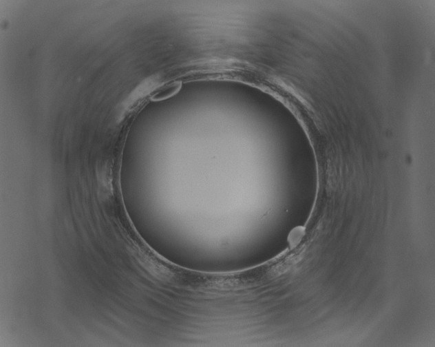 X0000074041451200608281433