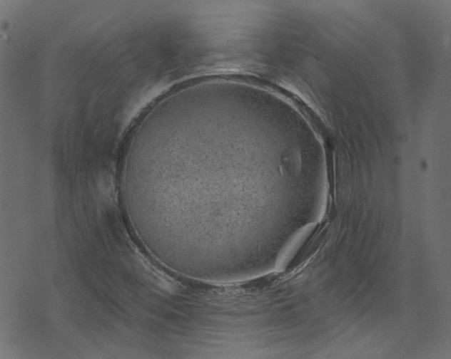 X0000074041452200608281433