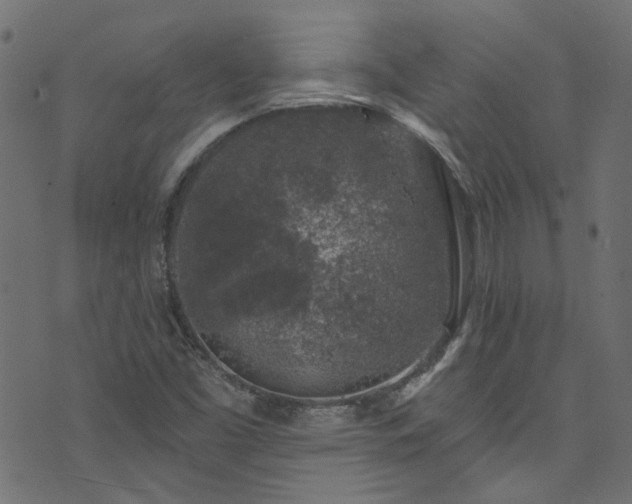 X0000074041453200608281433