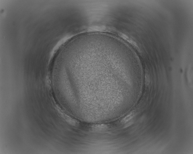 X0000074041454200608281433