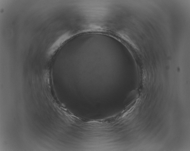 X0000074041455200608281433