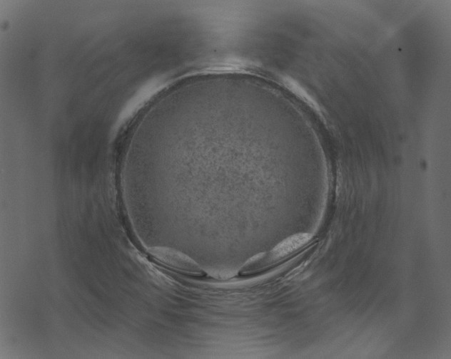 X0000074041456200608281433