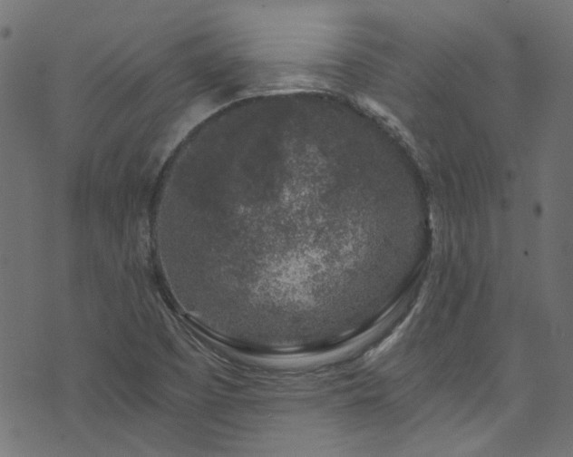 X0000074041457200608281433