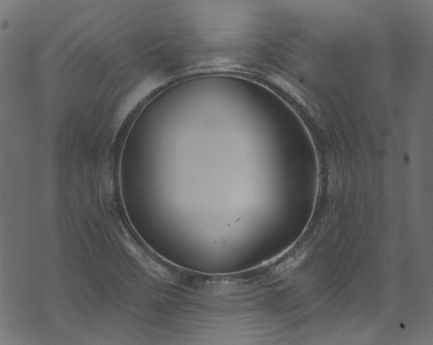 X0000074041458200608281433