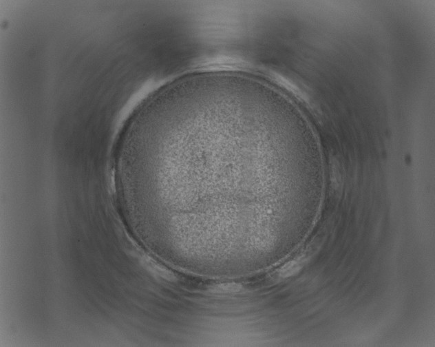 X0000074041462200608281432