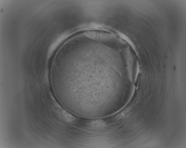 X0000074041464200608281432