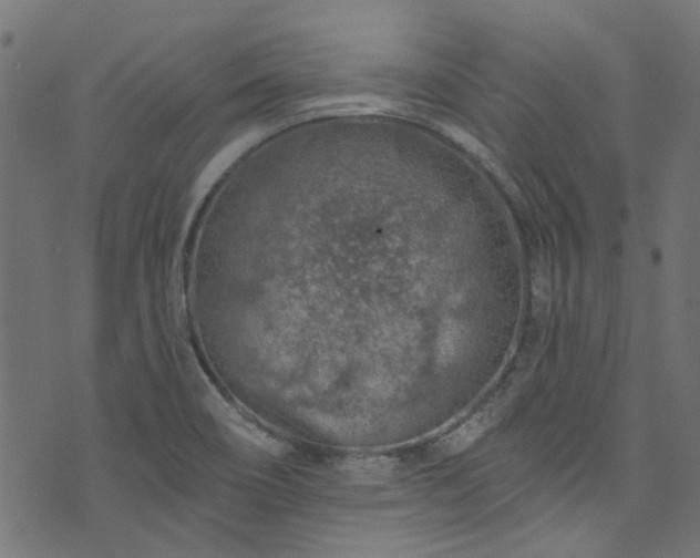 X0000074041466200608281432