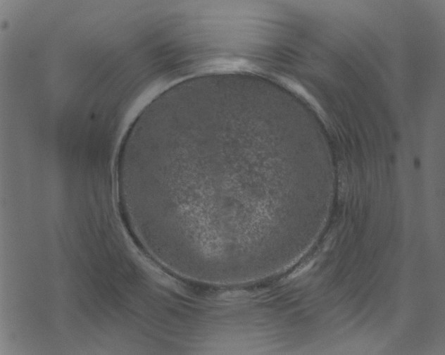 X0000074041467200608281432