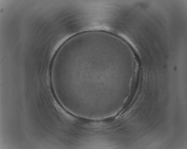 X0000074041468200608281432