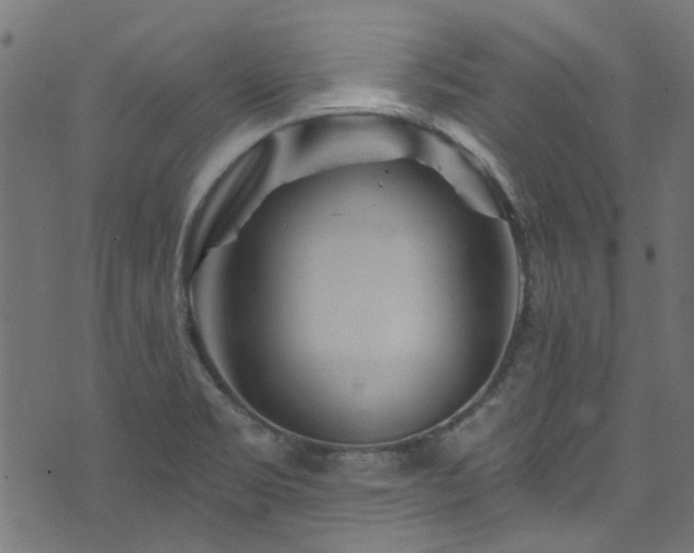 X0000074041469200608281432