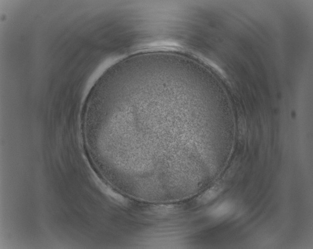 X0000074041470200608281432