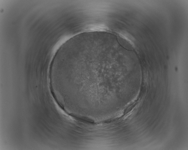 X0000074041471200608281432