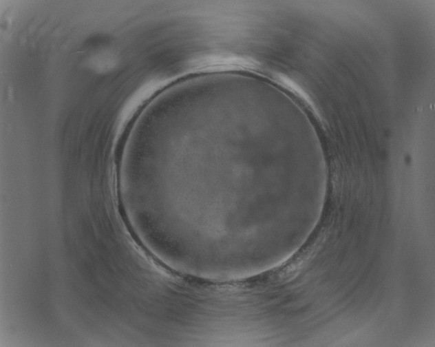 X0000074041472200608281432