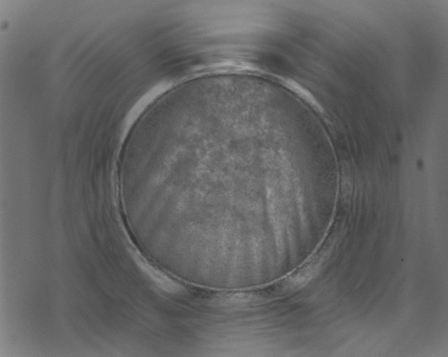 X0000074041474200608281432