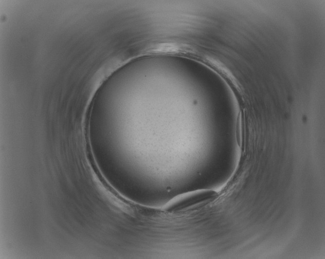 X0000074041475200608281432