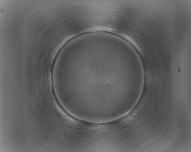 X0000074041476200608281432