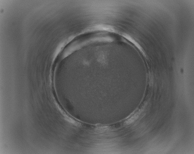 X0000074041477200608281432