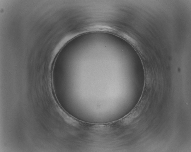 X0000074041478200608281432