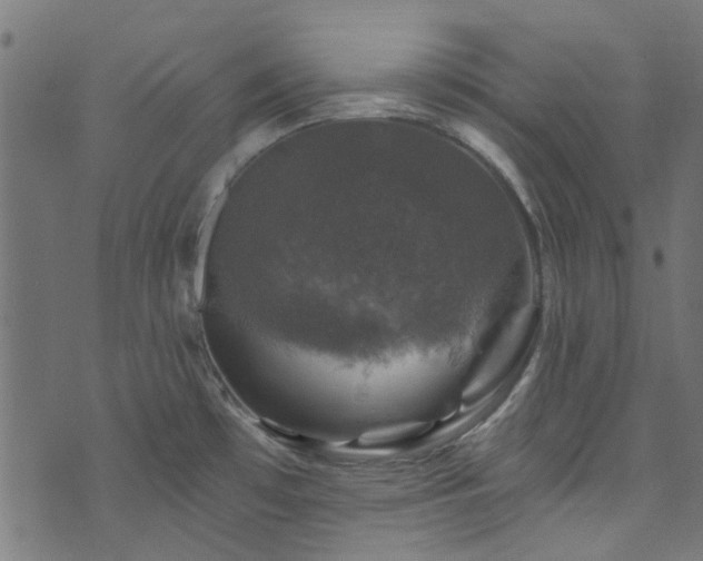 X0000074041481200608281432