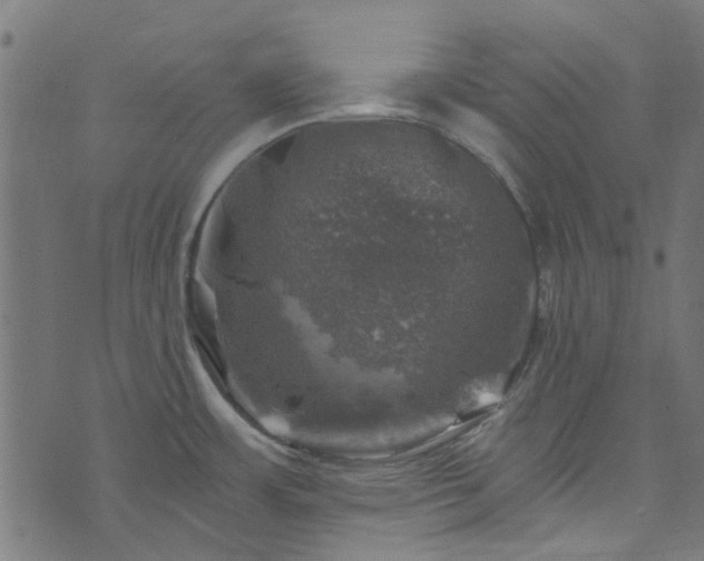 X0000074041483200608281432