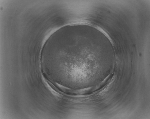 X0000074041485200608281432