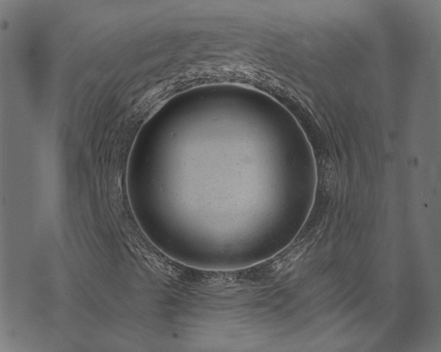 X0000074041489200608281431