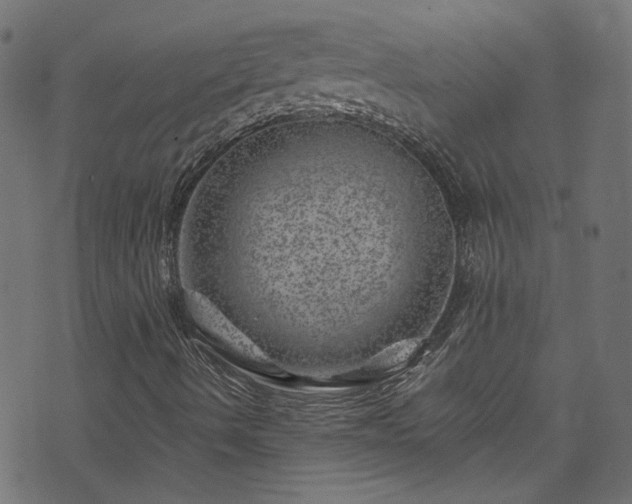 X0000074041490200608281431