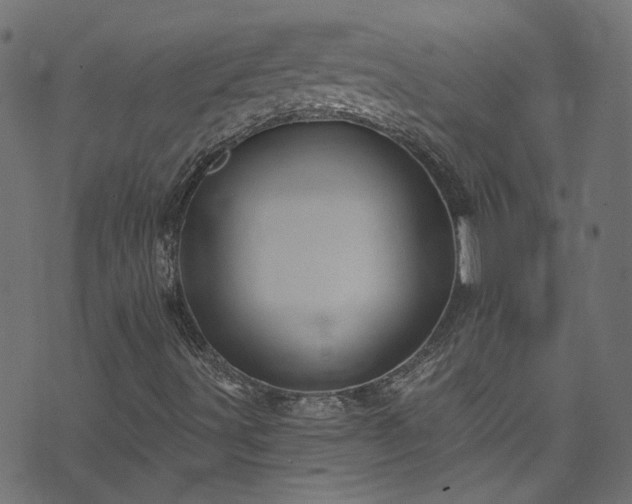 X0000074041491200608281431