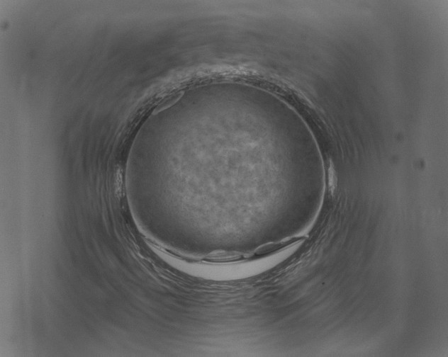 X0000074041492200608281431