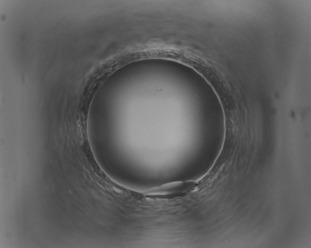 X0000074041493200608281431