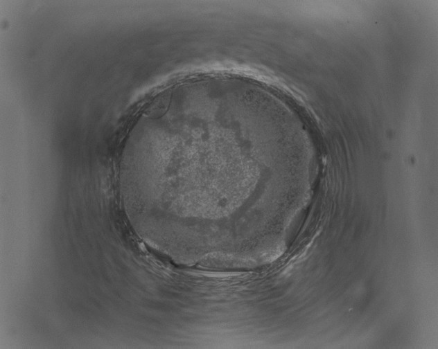 X0000074041494200608281431