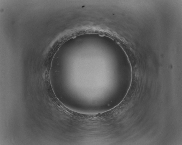 X0000074041495200608281431