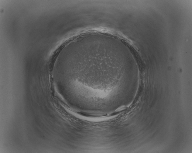 X0000074041496200608281431