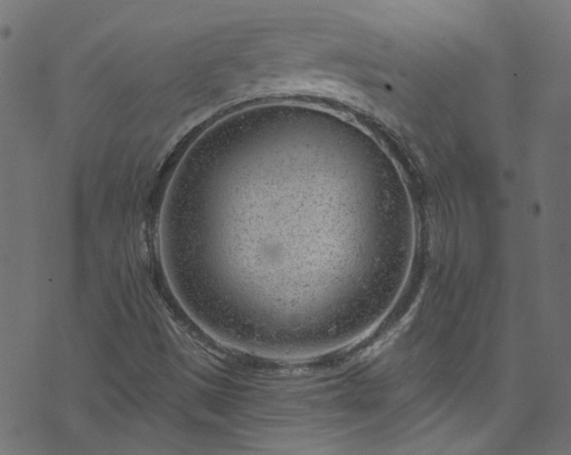 X0000074041497200608281431