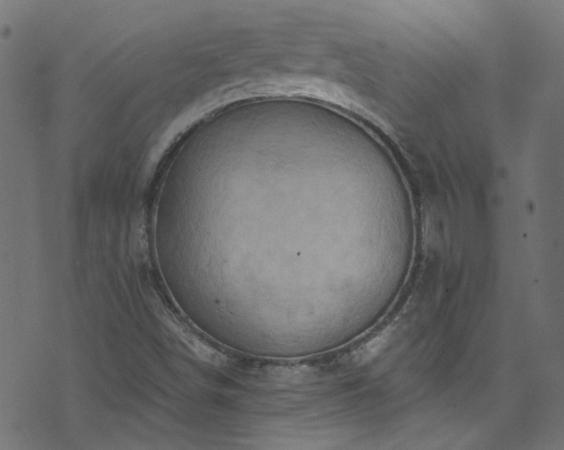 X0000074041498200608281431