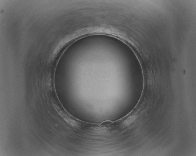 X0000074041499200608281431