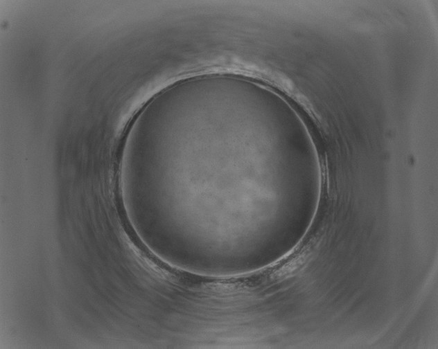 X0000074041500200608281431