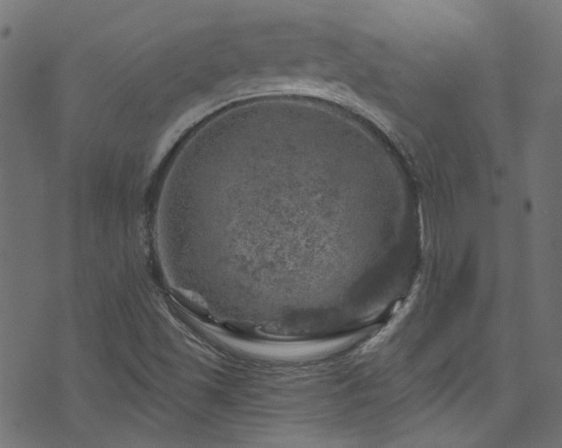 X0000074041501200608281431