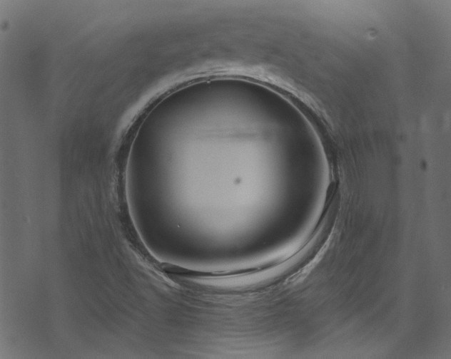 X0000074041502200608281431