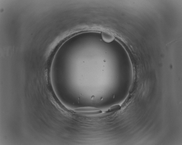 X0000074041503200608281431