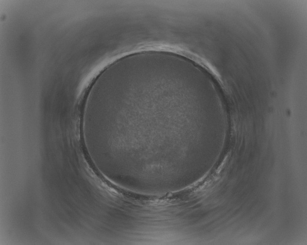 X0000074041504200608281431