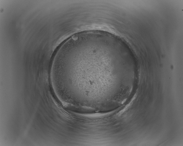 X0000074041505200608281431