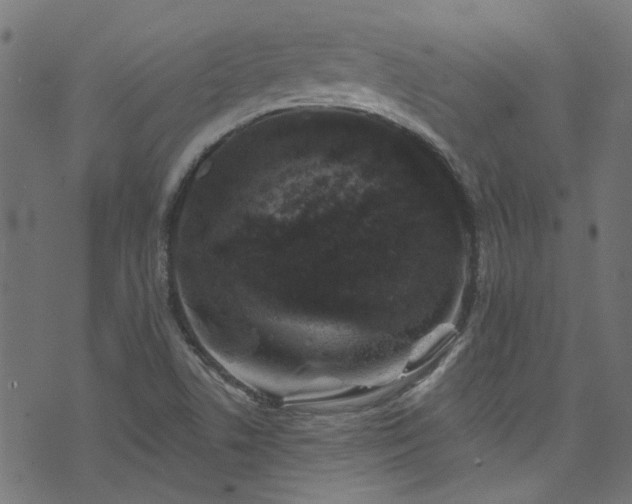 X0000074041506200608281432