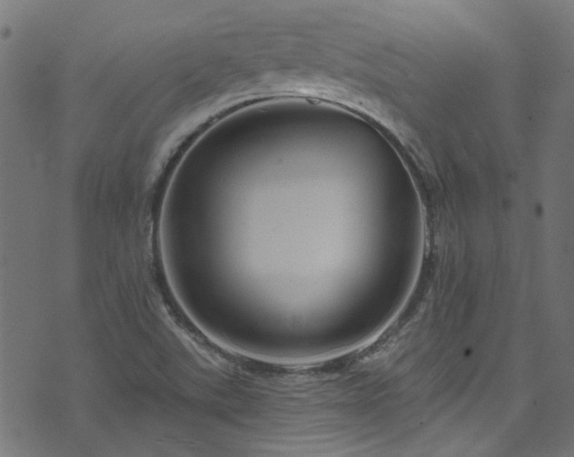 X0000074041507200608281432