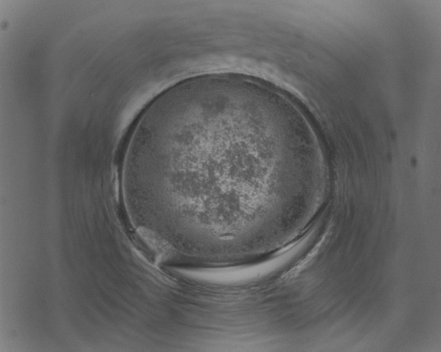 X0000074041509200608281432