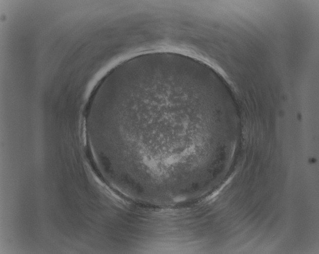 X0000074041510200608281432