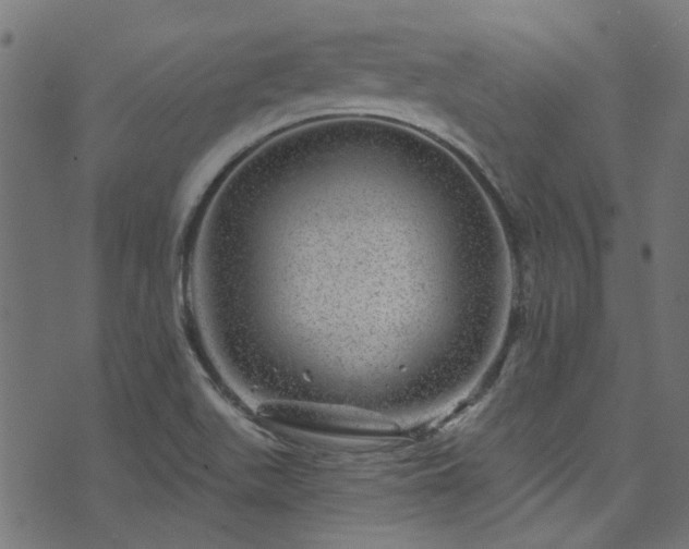 X0000074041511200608281432