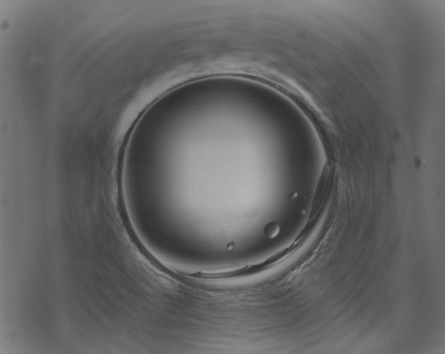 X0000074041512200608281432