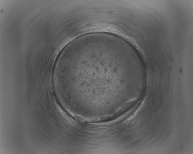 X0000074041513200608281432