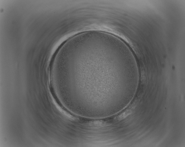 X0000074041515200608281432